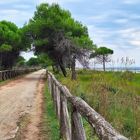 Stunning With Private Fenced Garden And Bbq